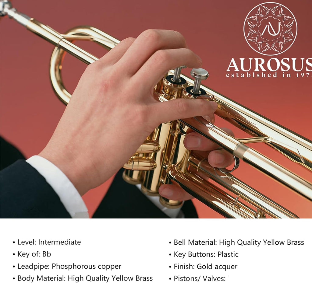 b flat beginner student trumpet with Rose brass leadpipe leadpipe | gold lacquer brass body stainless steel valves 7c