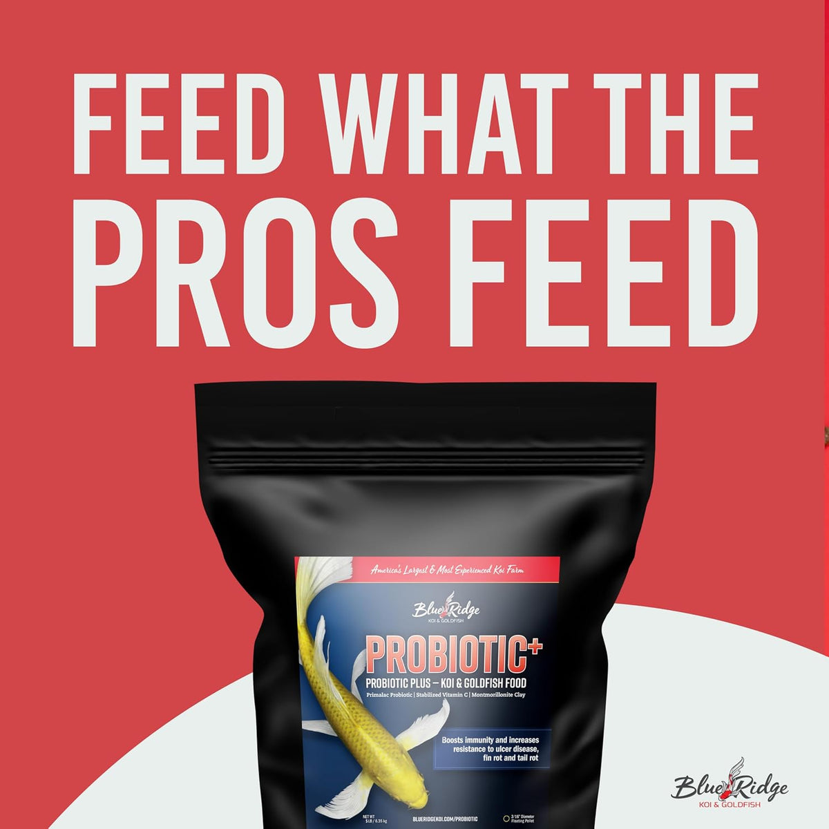 Blue Ridge Koi Fish Food, Probiotic Plus Formula, 3/16" Pellets, 5 lb