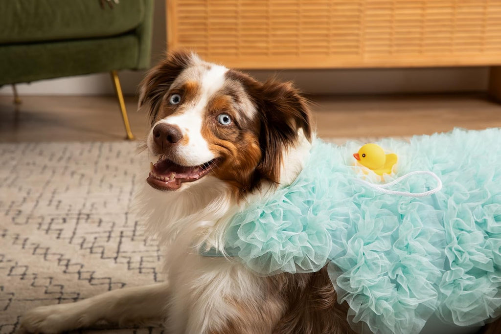 Loofah Dog Costume, Blue - (X-Small)