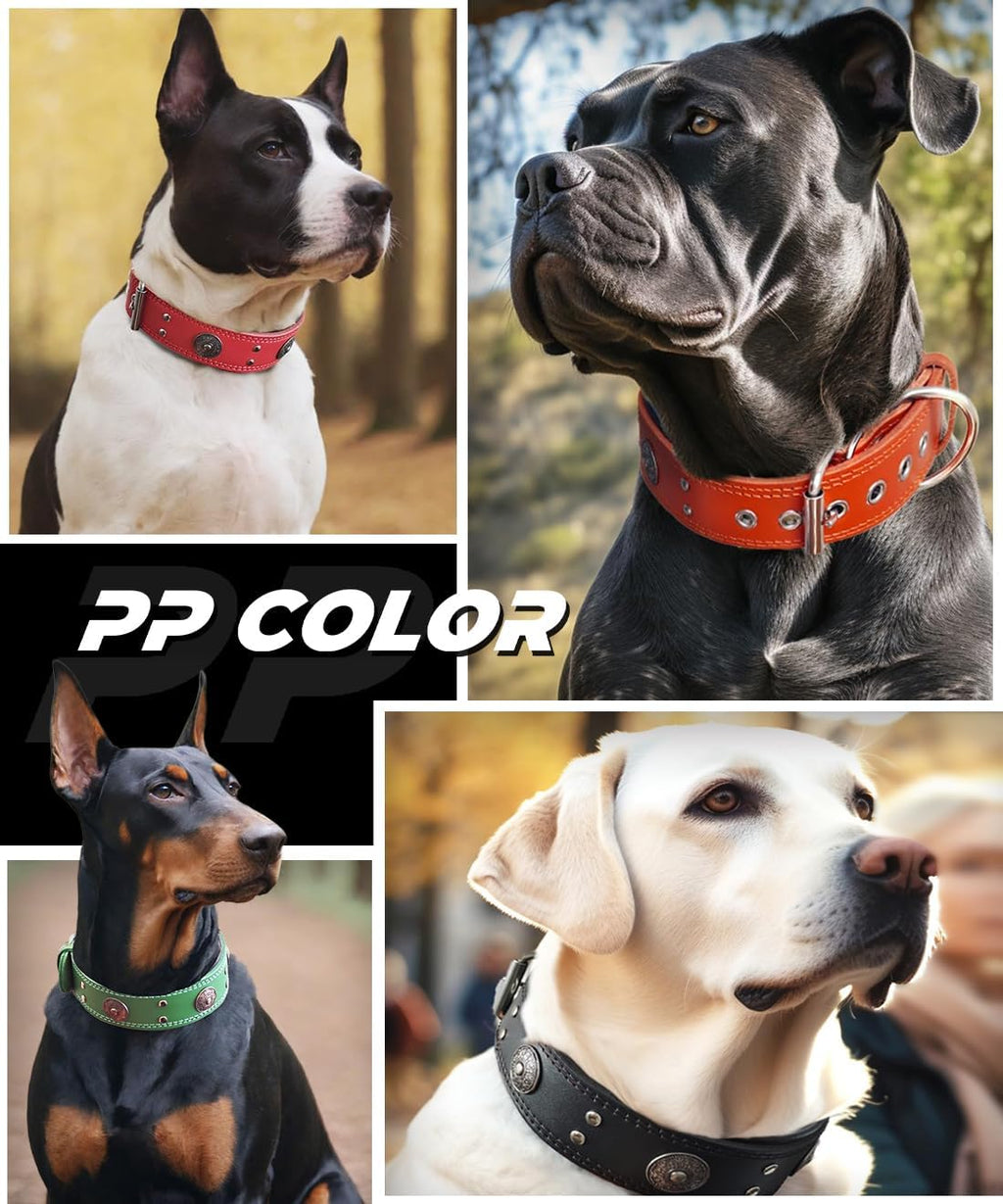 Genuine Leather Dog Collar for Large Dogs,2 in Wide Heavy Duty,BN-M