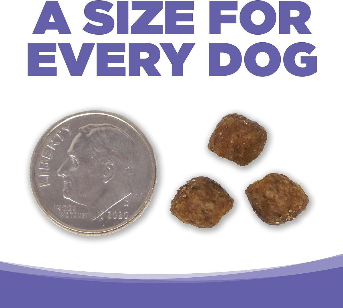 Small & Medium Breed Puppy Dry Dog Food, 4 lb