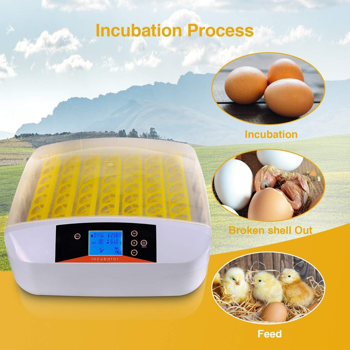 55 Egg Incubator with Auto Turner & Humidity Control 360° View