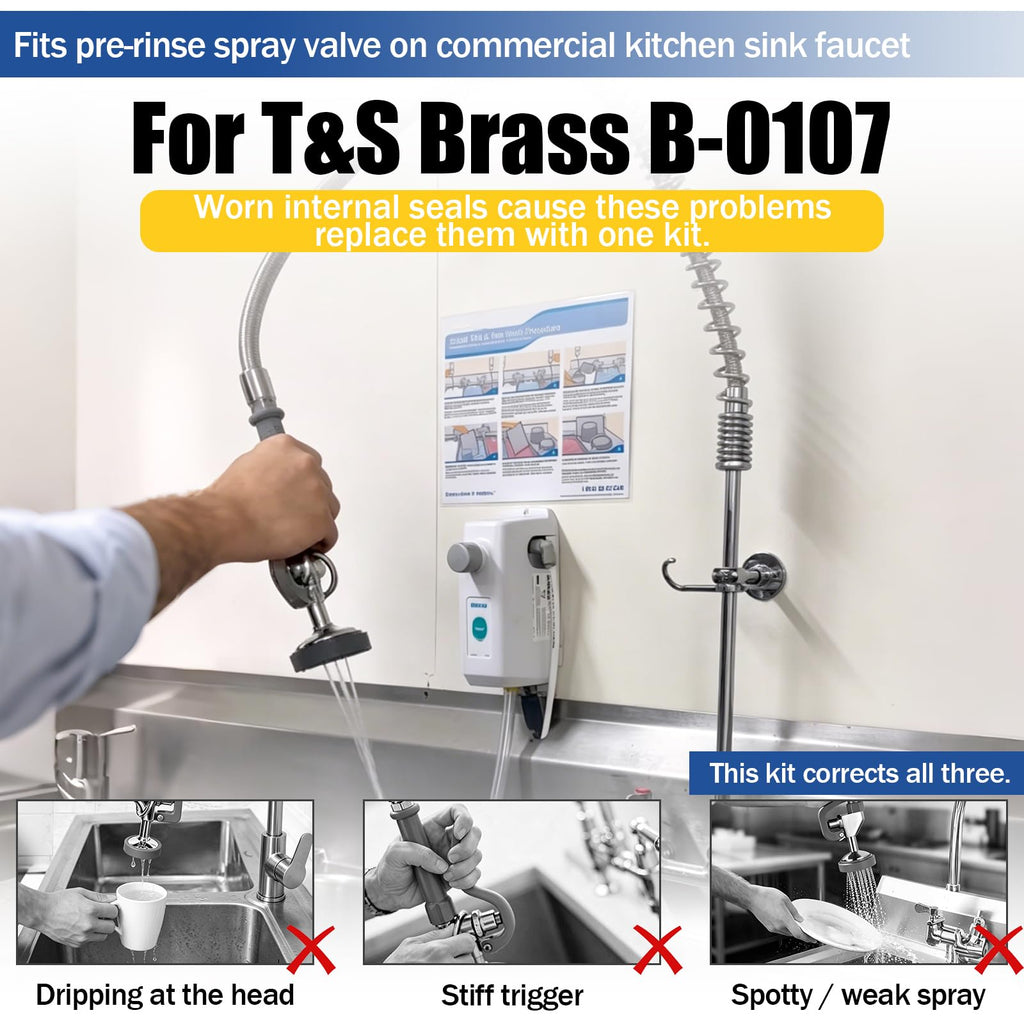 B-10K Pre-Rinse Spray Valve Repair Kit for T&S Brass B-0107