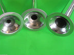 Meat grinder with sausage making kit FITS a200 d300 h600 h660 plus Univex mixer From Smokehouse Chef