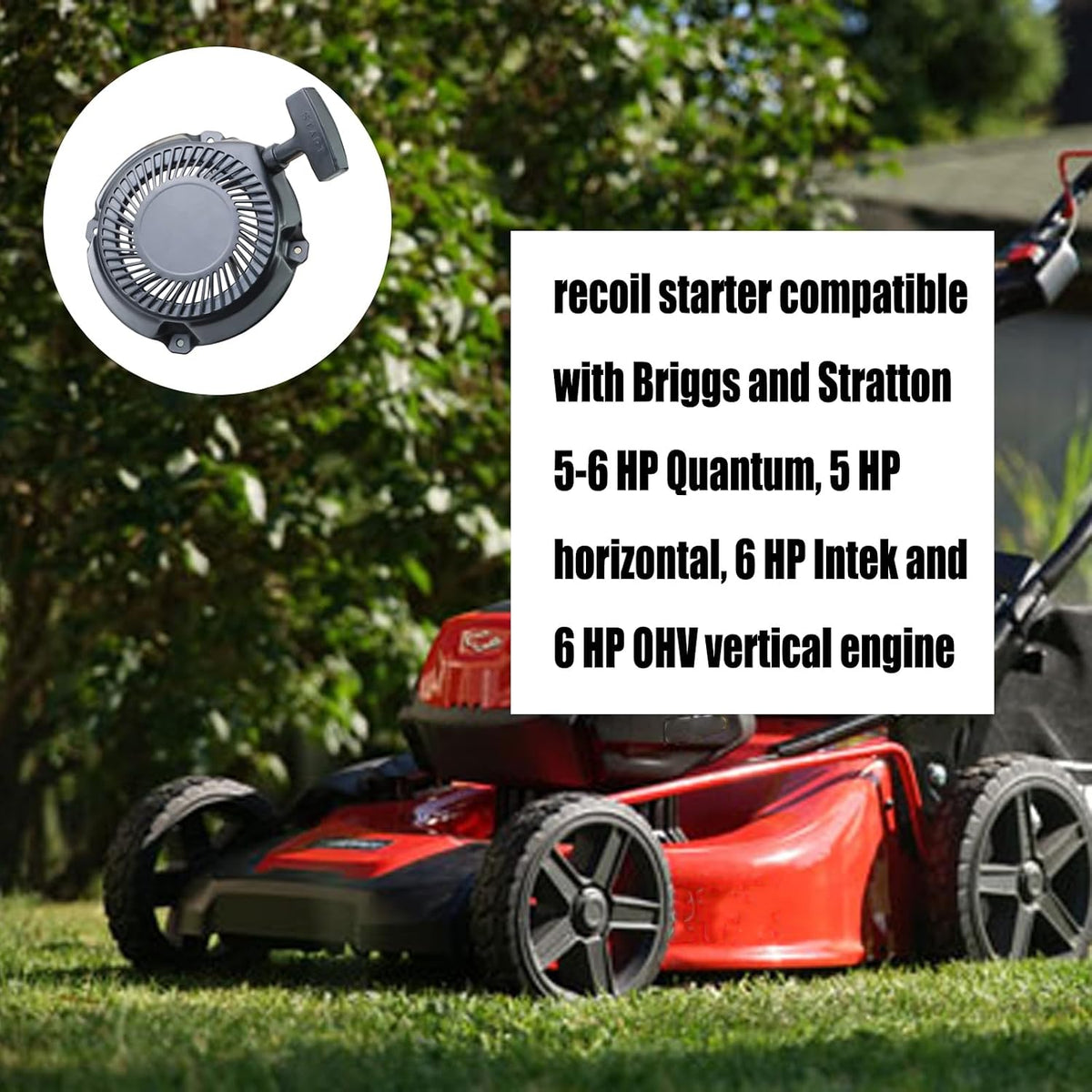 DVBB Recoil Starter Compatible with Briggs Stratton 591301