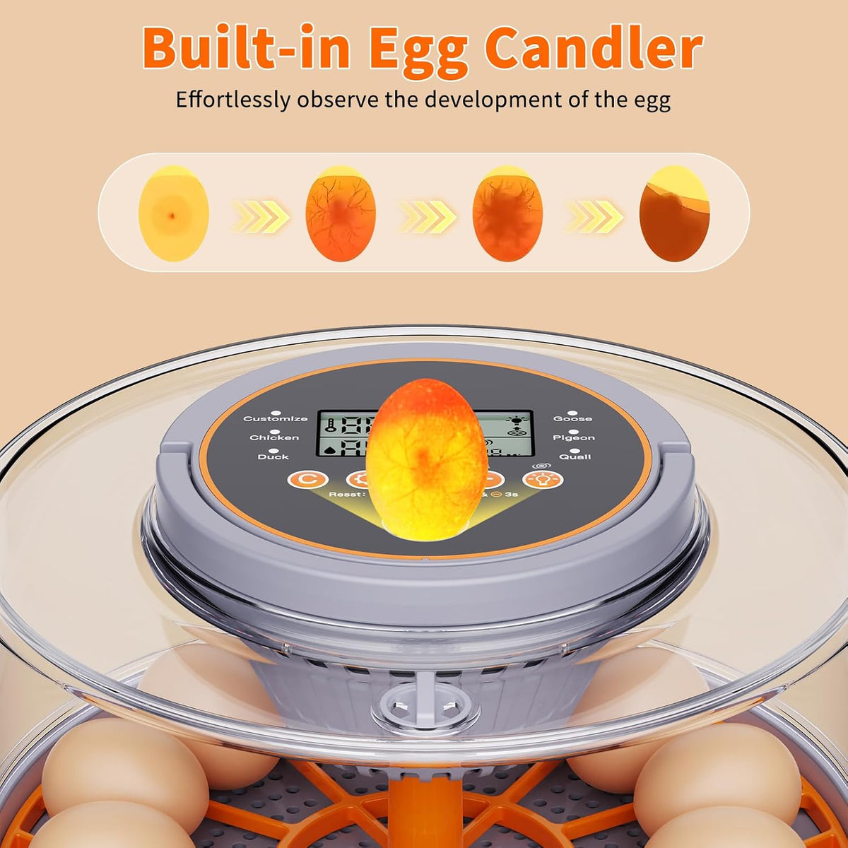 12 Egg Incubators for Hatching Eggs, Automatic Egg Turning & Humidity Control Intelligent Temp Eggs Candler for