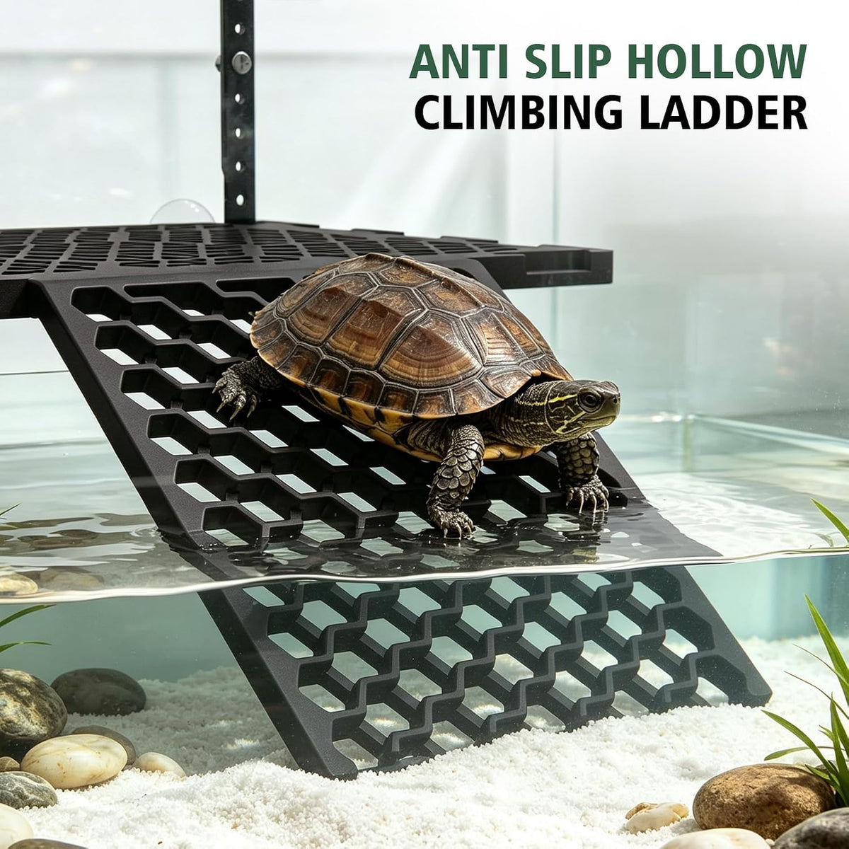Adjustable Hanging Turtle Basking Platform with Ramp & Feeding Tray