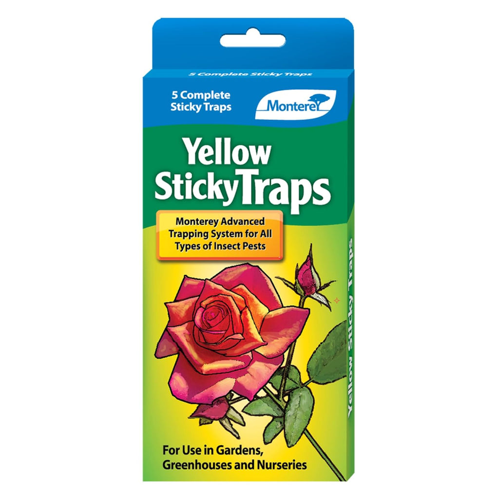 Yellow Sticky Insect Traps for All Insects, 5 Per Pack