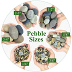 2lbs Aquarium Rocks, 5/8" Natural Mixed Pebbles for Plants