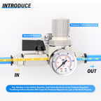 TAILONZ 1/4"NPT Pneumatic Pressure Regulator AR2000,White