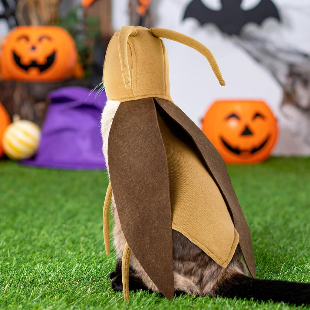 Halloween Puppy Cat Costume Dog Cockroach Shaped Outfits Pet Festival Cosplay Apparel for Small Dogs Cats