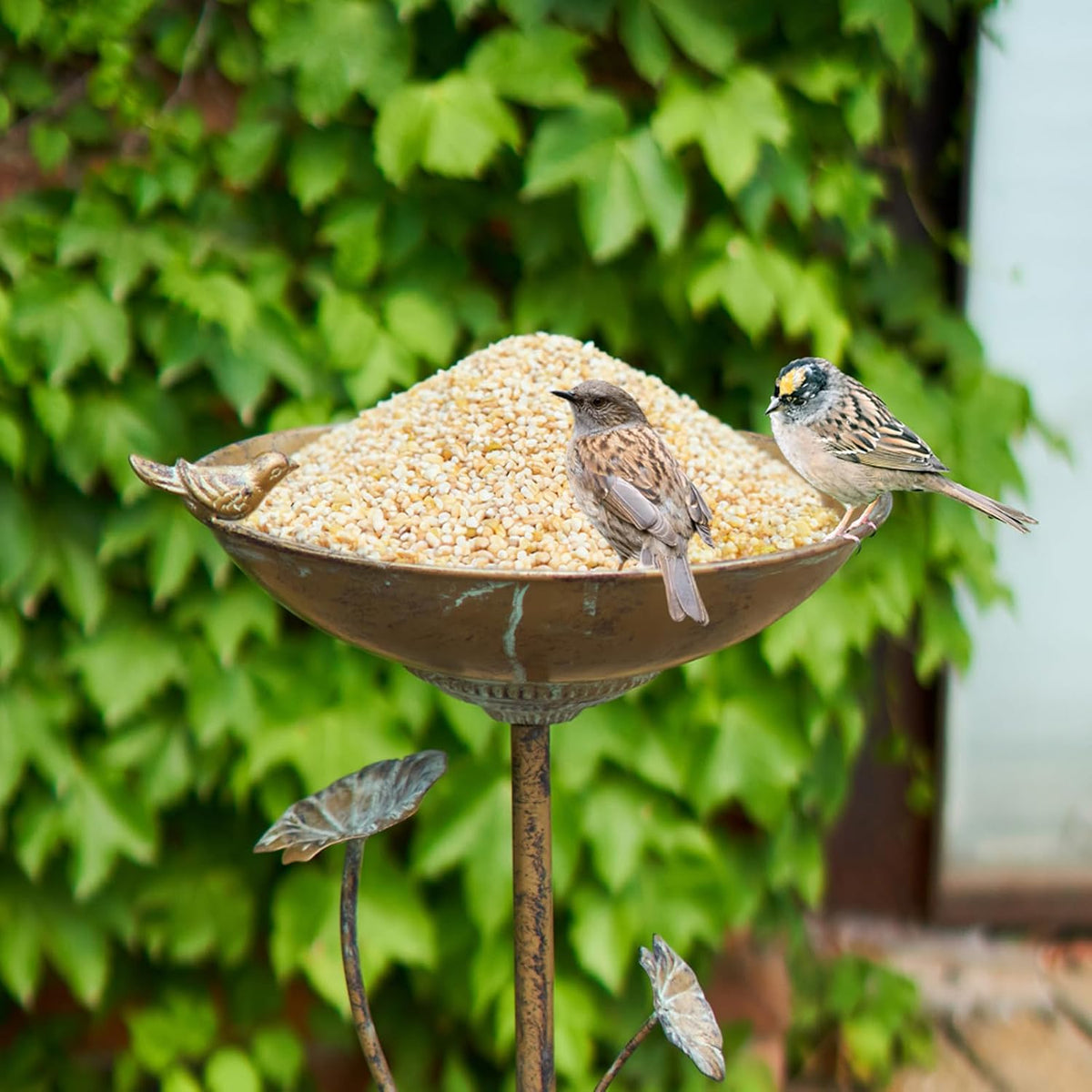 11.4" W x 28.7" H Cast Iron Pedestal Bird Bath, BirdBaths for Outdoors