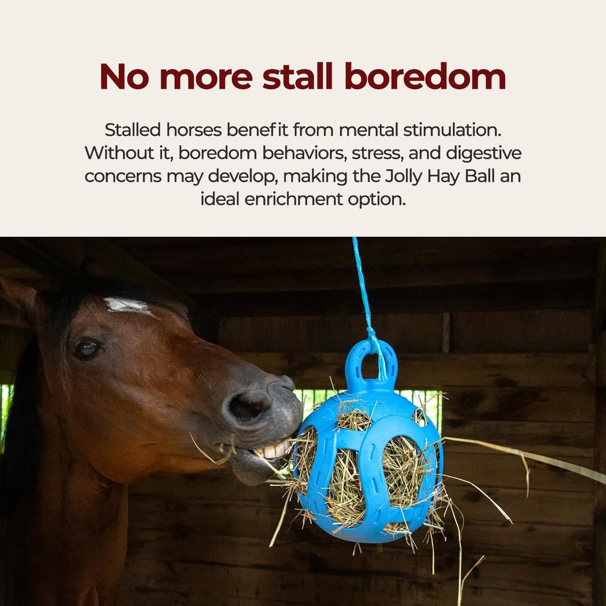 Horsemen's Pride Jolly Hay Ball Stall Toy for Horses, Blue, 8"