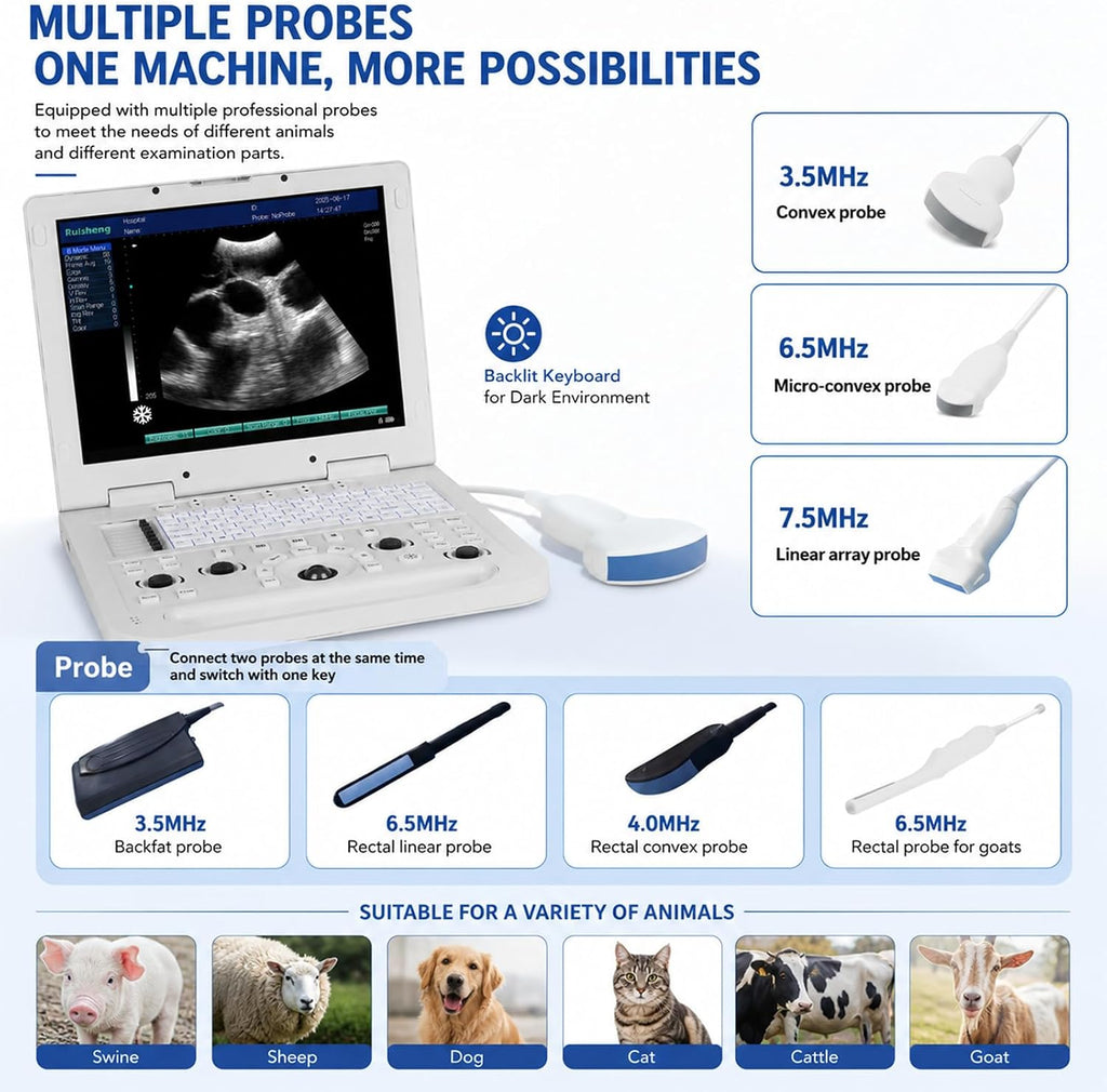 N20+3.5MHz Convex Probe Protable Laptop Veterinary Ultrasound Machine