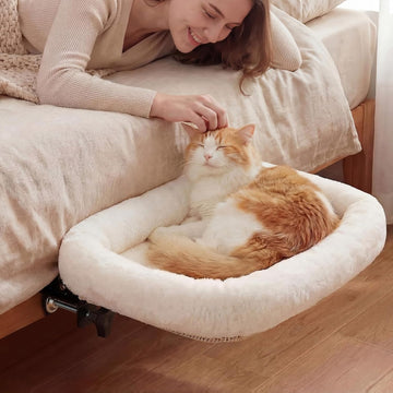 Cat Beds