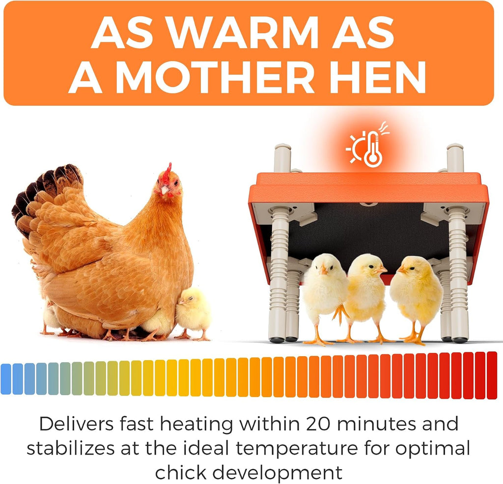 Large Chick Brooder Heating Plate 12" x 12" with Anti-Roosting Cone, Stepless Adjustable Height for Up to 25 Chicks