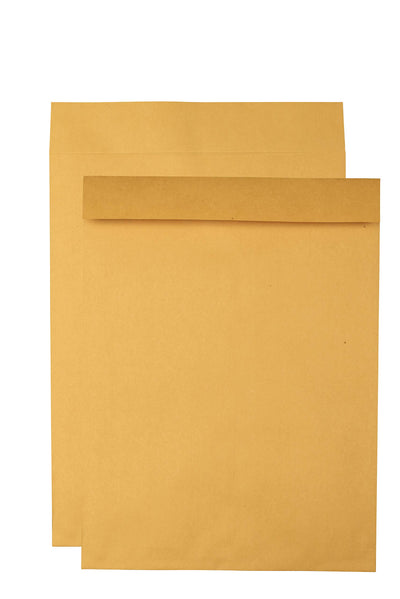 Jumbo Kraft Envelopes, 17 x 22, Ungummed Catalog Envelopes for Storing and Organizing, 28 lb Kraft Paper, 25 per Box