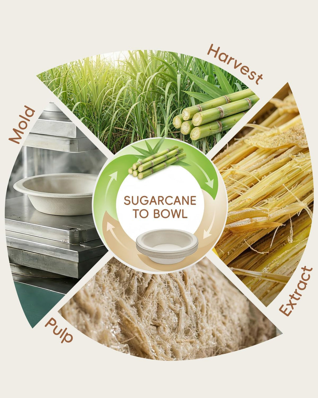 500 Pack Natural Brown 12 oz Compostable Sugarcane Soup Bowls