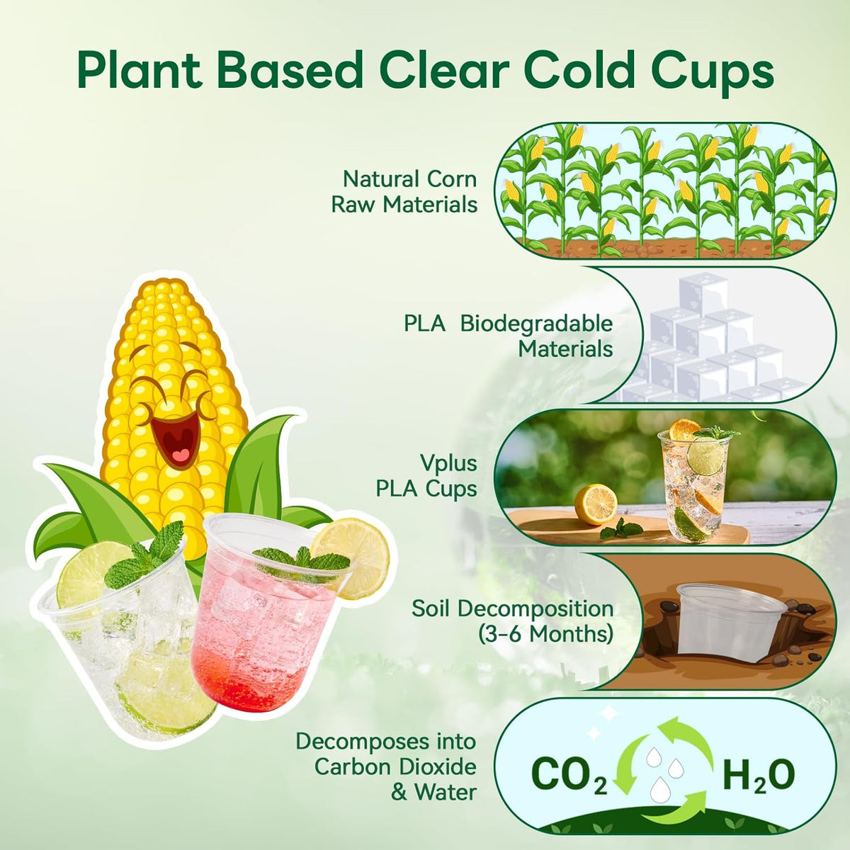 12 oz Compostable Clear Plastic Cold Cups, 100 Pack