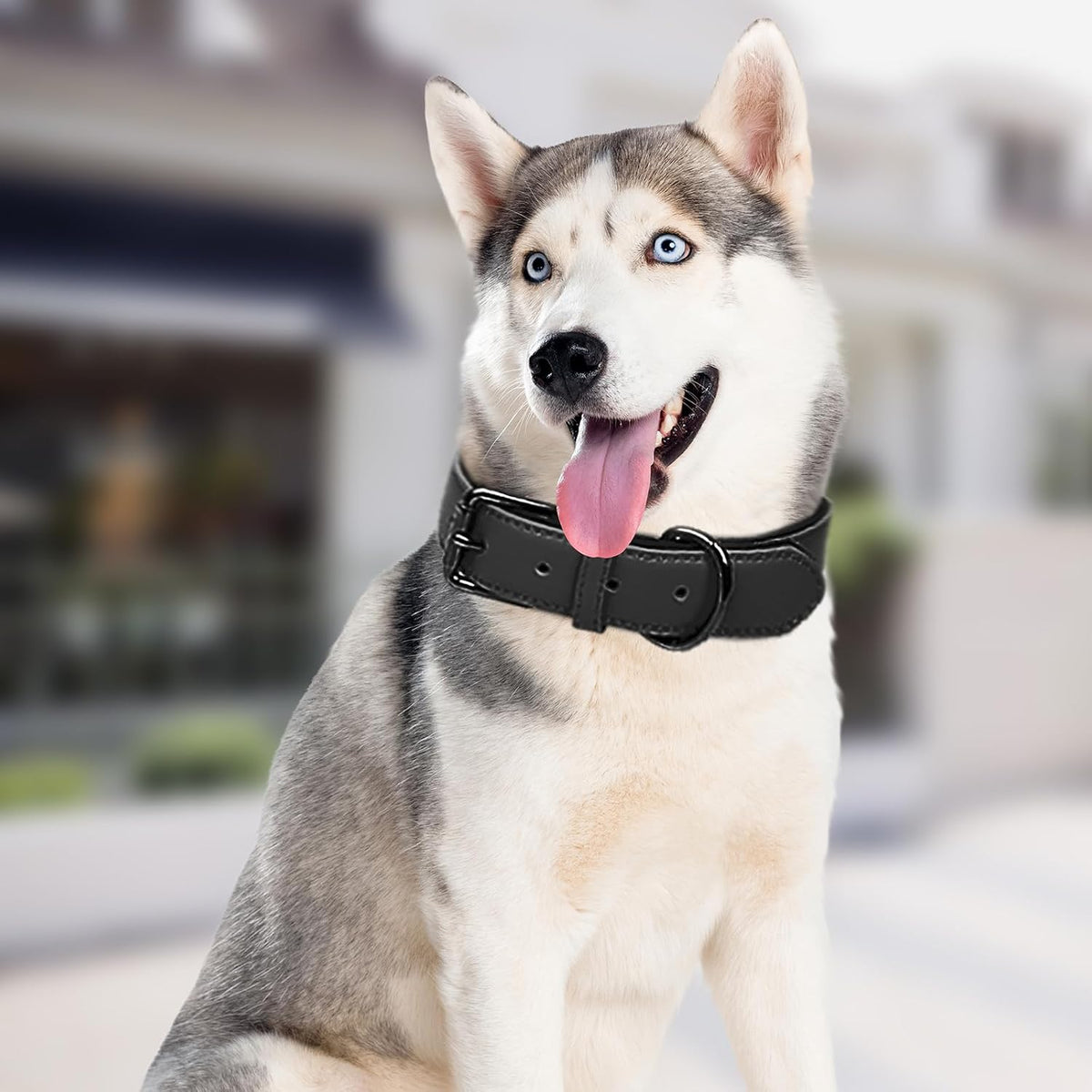 PU Leather Dog Collar Adjustable Soft Padded for Large/Medium Dogs Black,M