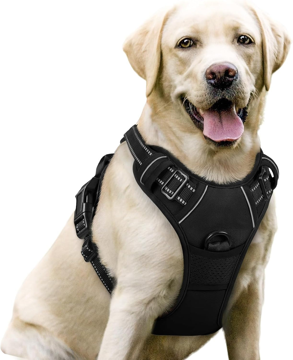 Dog Harness No Pull with 2 Leash Clips, Adjustable Soft Padded, Reflective Oxford No Choke Pet Vest with Easy Control