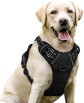 Dog Harness No Pull with 2 Leash Clips, Adjustable Soft Padded, Reflective Oxford No Choke Pet Vest with Easy Control