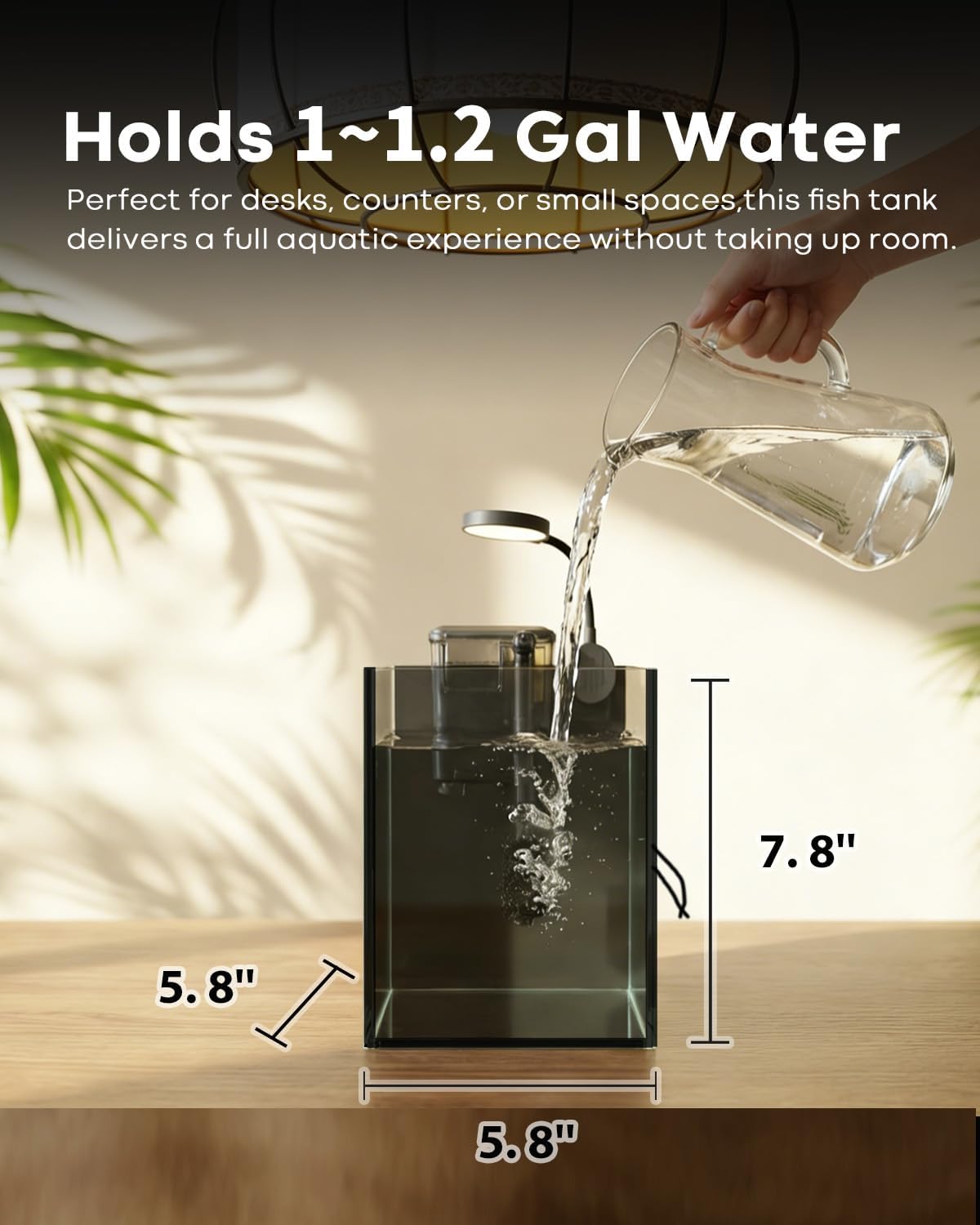 1.25 Gallon Fish Tank Small Glass Aquarium Kit Starter Set Dark Background