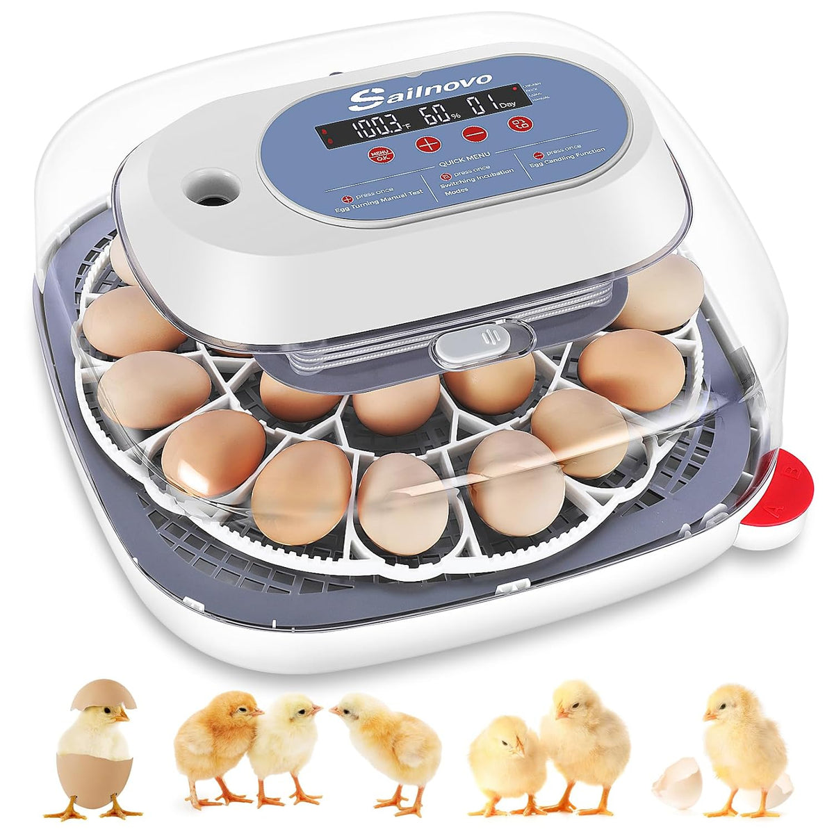 24 Eggs Incubator, 4 Modes, Temp Control & Humidity Display, Azure