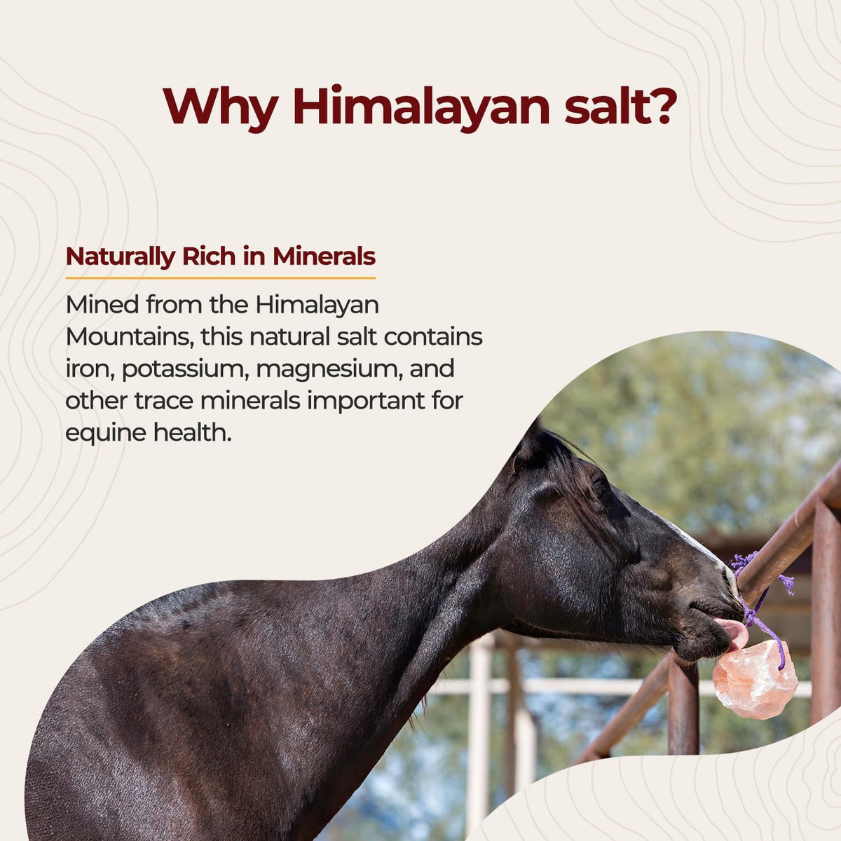 Himalayan Salt Block on Rope for Horses, 2.2 Pounds, SS22