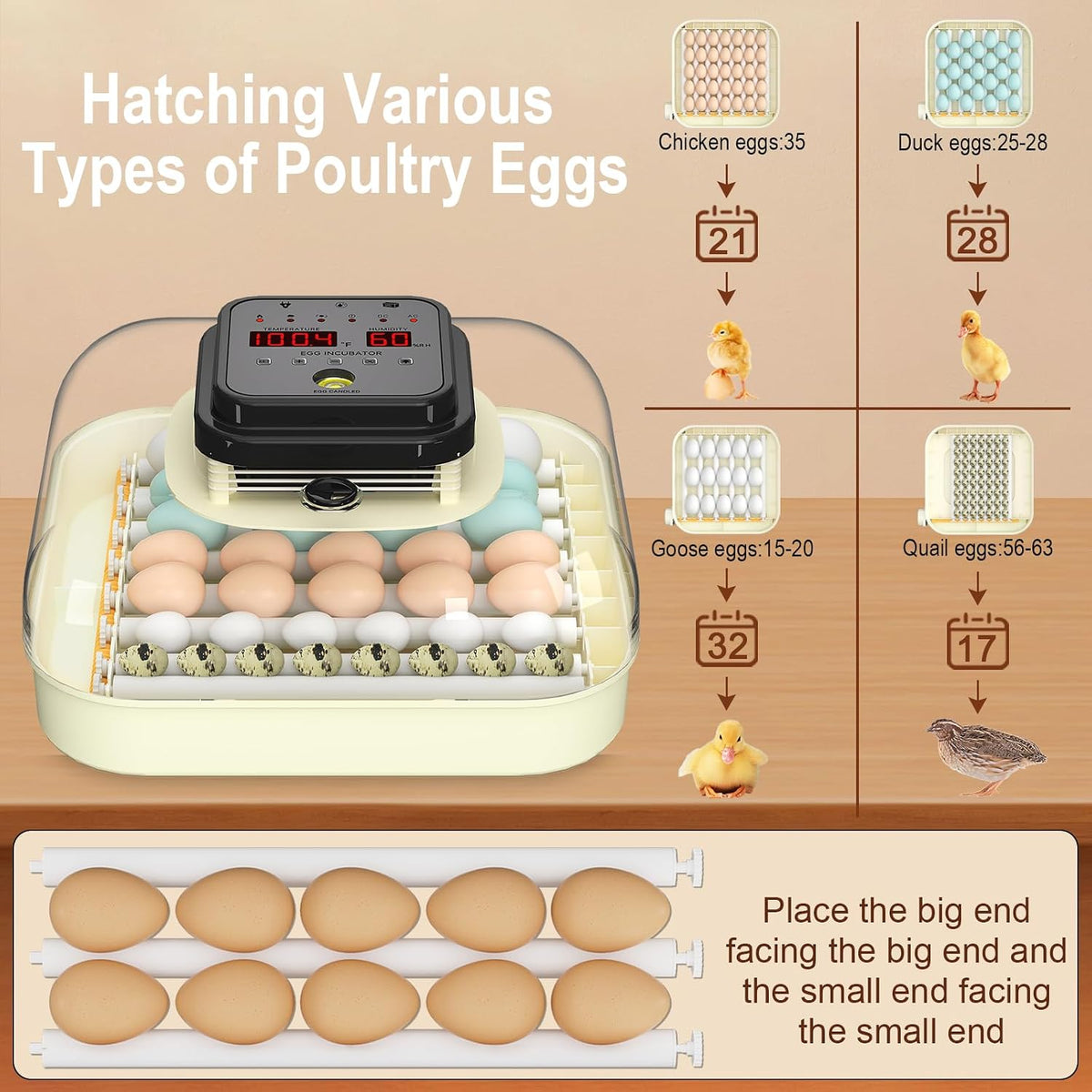 35 Chicken Egg Incubator, Quail Incubator with Humidity Control