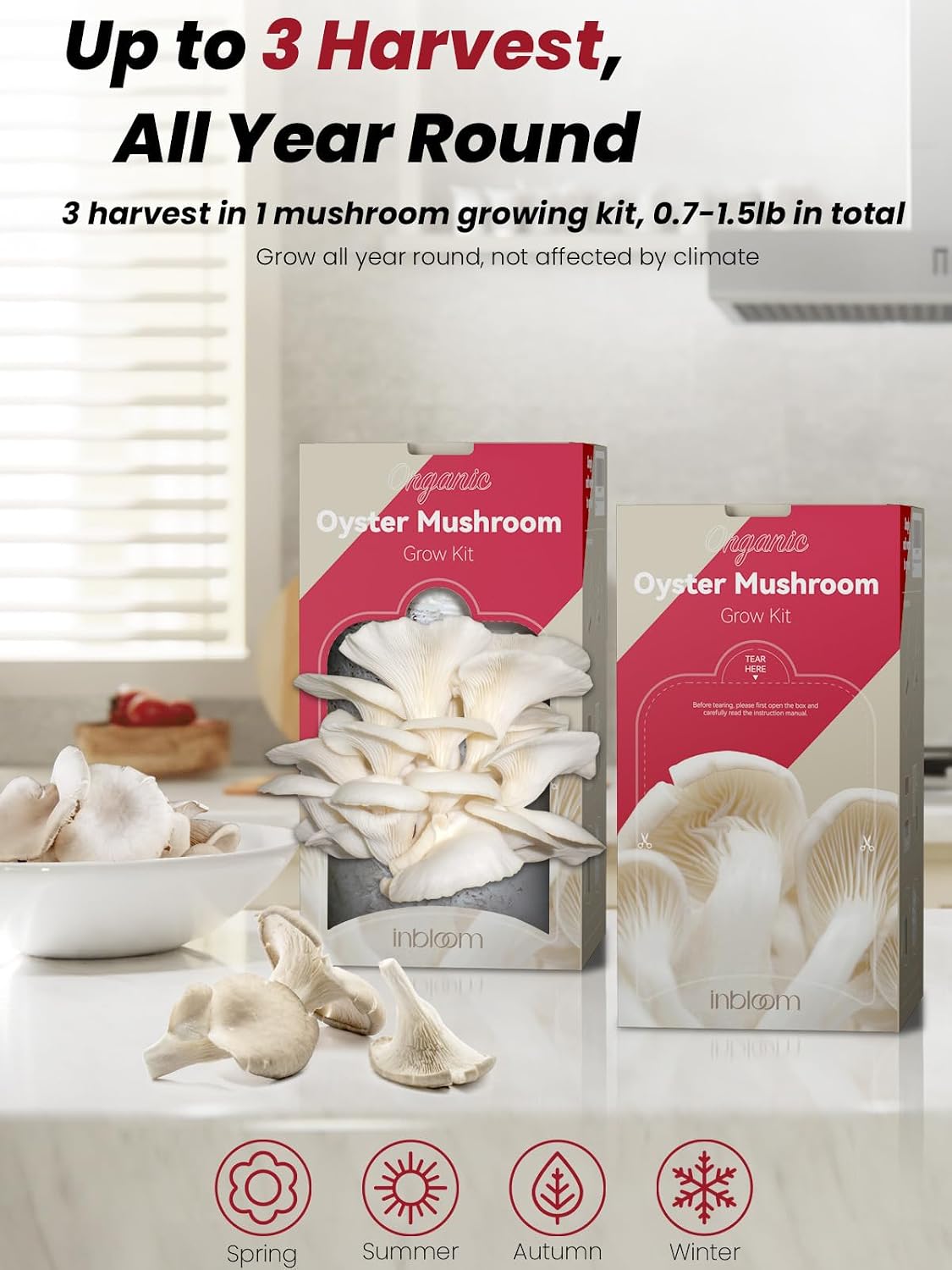 Organic Oyster Mushroom Growing Kit with Spray, Harvest Fresh Mushrooms at Home, Beginner Friendly & Easy to Use