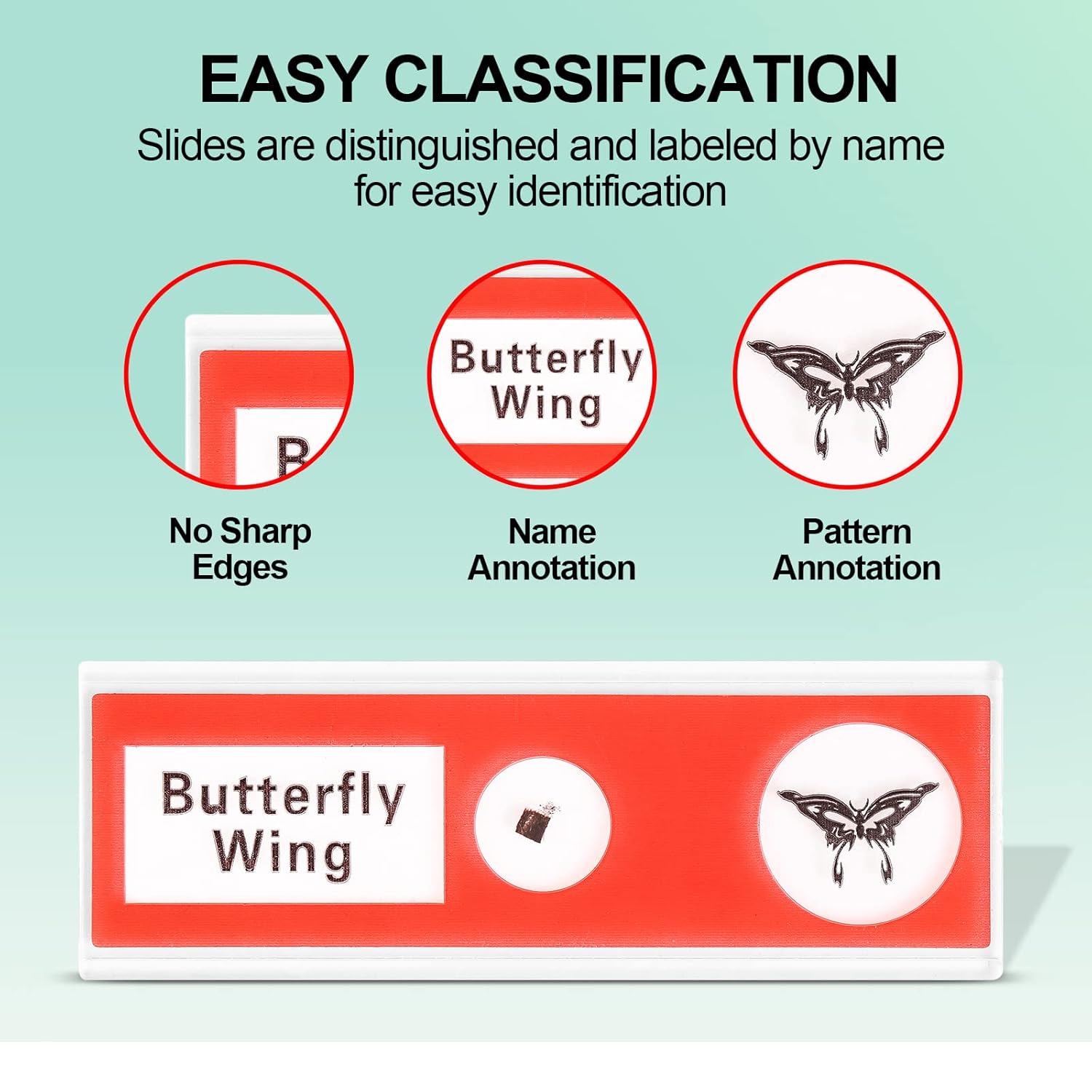 Prepared Plastic Microscope Slides with Specimens for Kids, Microscope Sample Slides Full Range of