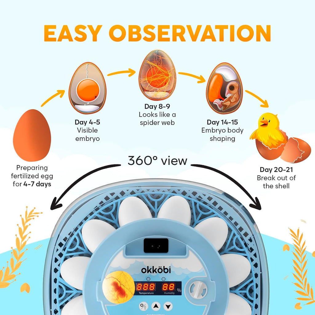 12 Egg Incubator with Automatic Egg Turning and Humidity Control – Egg Incubators for Hatching Eggs – Egg Candler