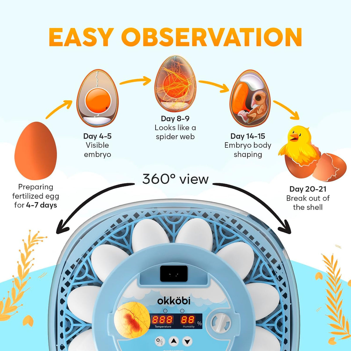 12 Egg Incubator with Automatic Egg Turning and Humidity Control – Egg Incubators for Hatching Eggs – Egg Candler