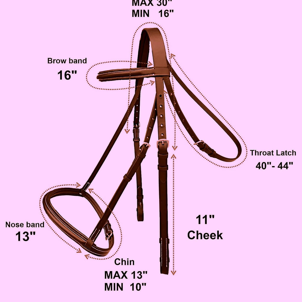 Padded Raised English Bridle, Premium Leather, Matching Laced Reins