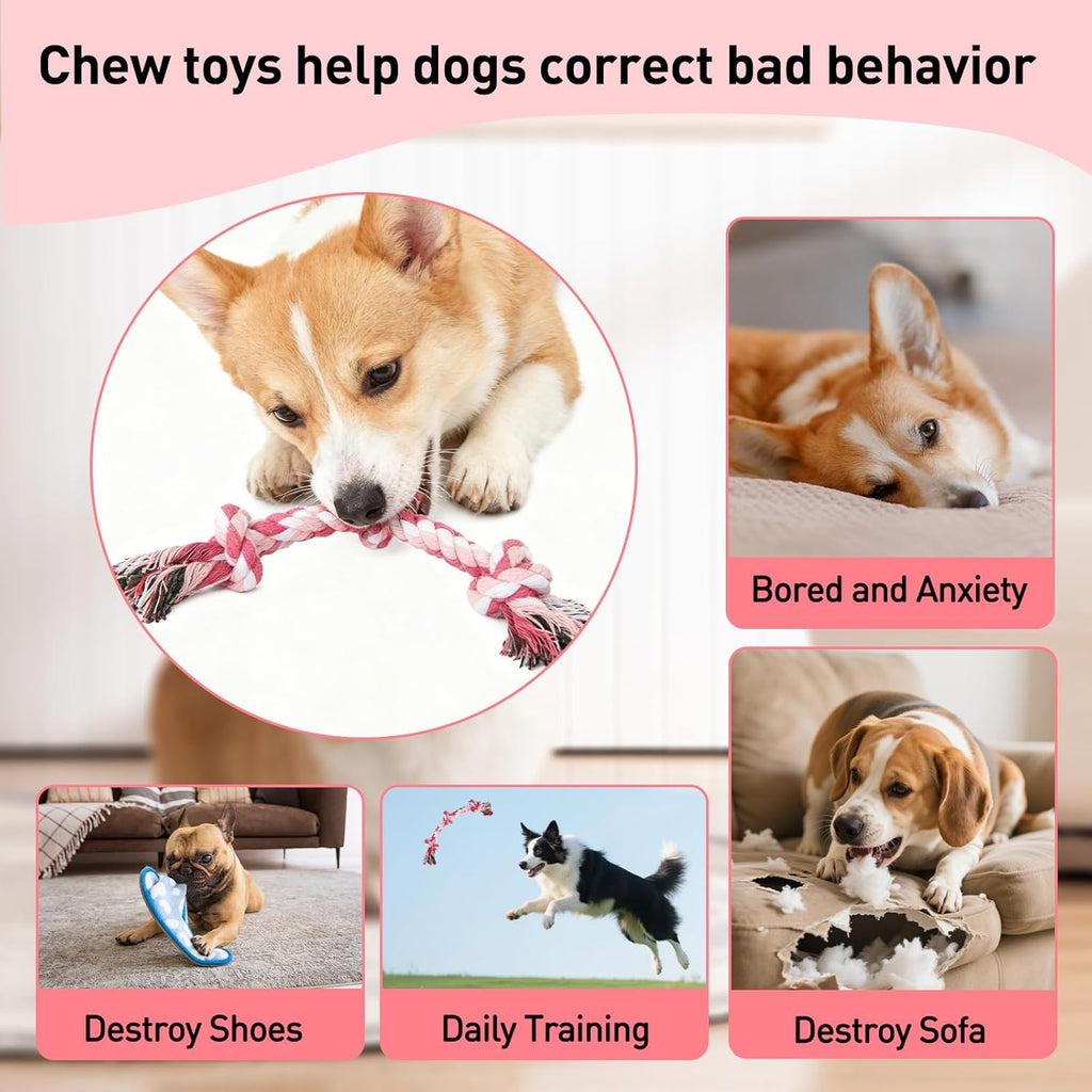 Dog Rope Toy 2 Pack, Rope Toys for Dogs, Chew Ropes for Small Breeds Puppies, Pull Toy for Tug of War, Energy