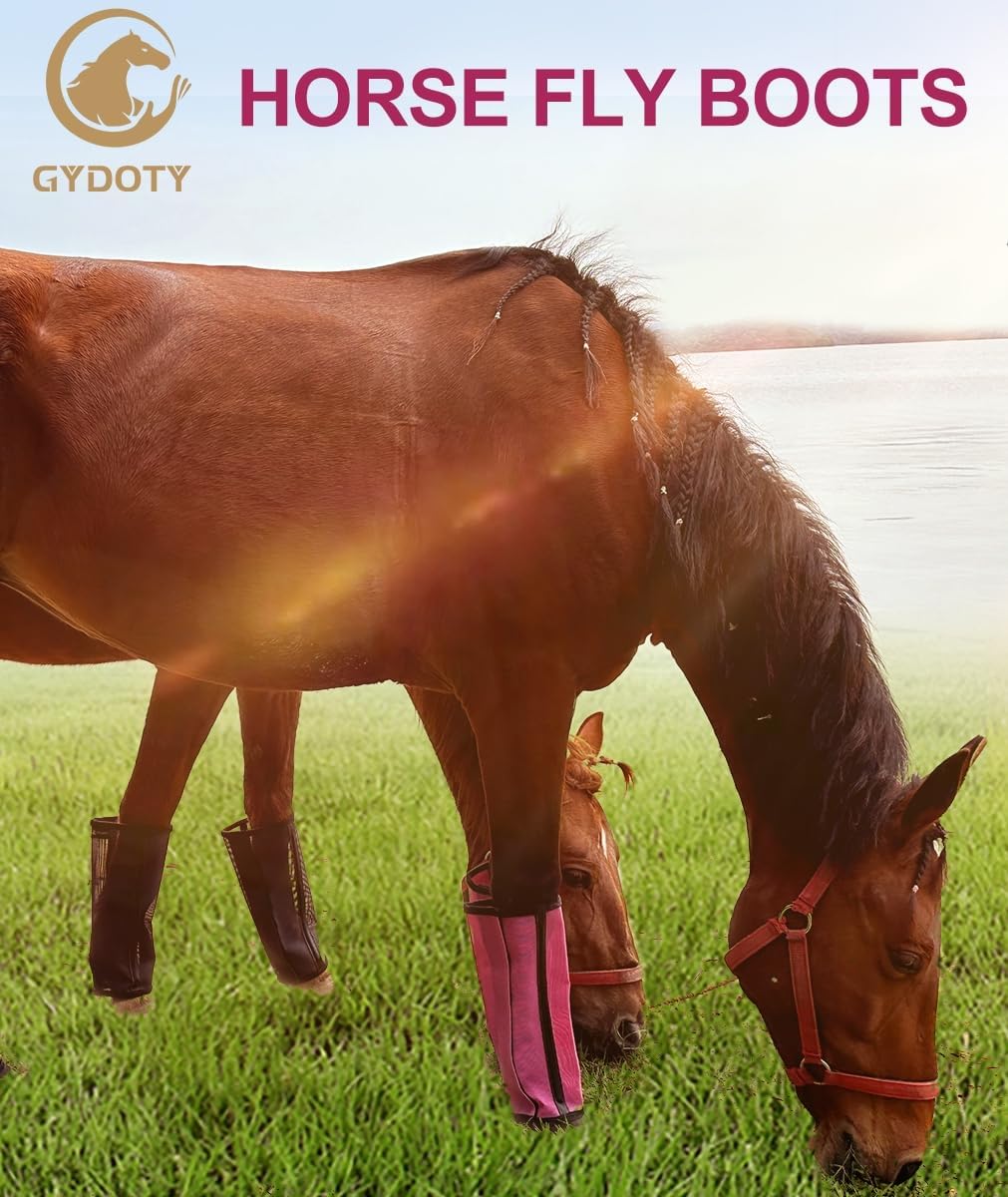 Horse Fly Boots Set of 4, Breathable Mesh Protectores para Caballos, Indoor & Outdoor UV Protective Leg Boots for