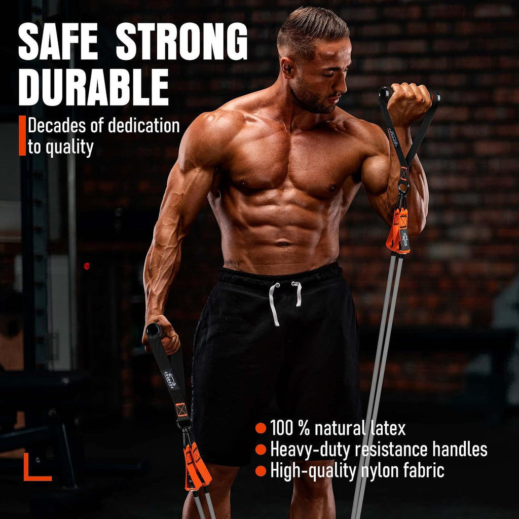 Resistance Bands with Handles, 175lb Exercise Bands for Working Out | Fitness Bands, Workout Bands with Door Anchor