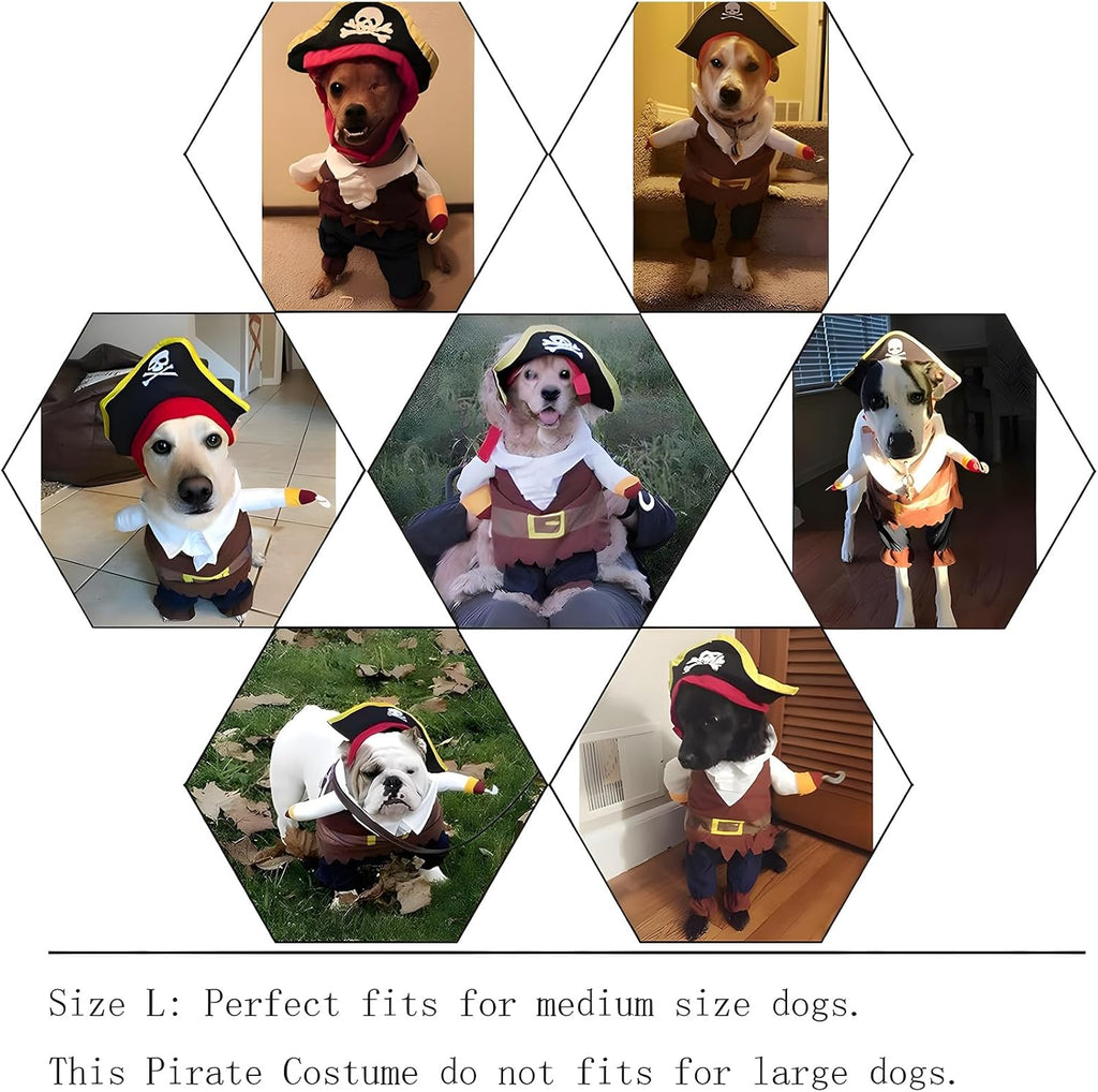 Pet Dog Costume Pirates of The Caribbean Style (Large)