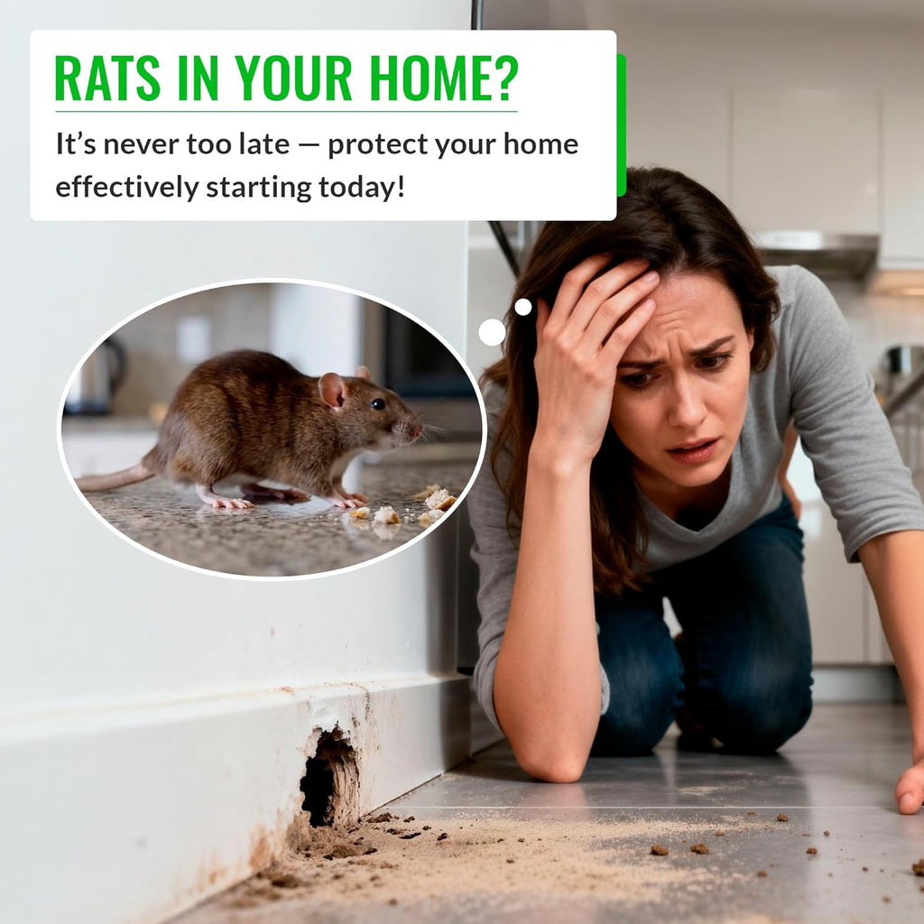 Rat Bait Stations 2 Pack, Lockable Rodent Traps, Indoor & Outdoor | 2.3 in Entry Hole, Fits Mice and Rats, Lockable