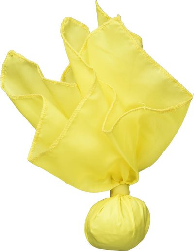 BSN Official's Penalty Flag