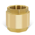 3" NPT Vertical Spring Check Valve, Brass, Heavy-Duty, Female Thread, DN80