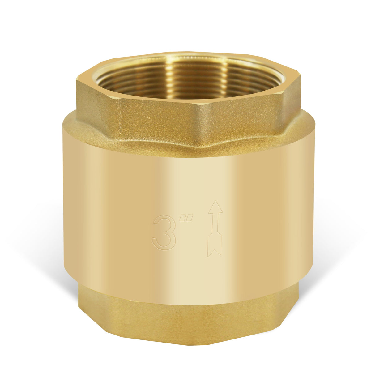 3" NPT Vertical Spring Check Valve, Brass, Heavy-Duty, Female Thread, DN80