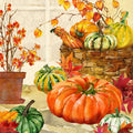 IHR Ideal Home Range Cocktail Napkins Disposable 3-Ply Paper Party Napkin Pack, 5" x 5", Heirloom Pumpkins, 20-Count