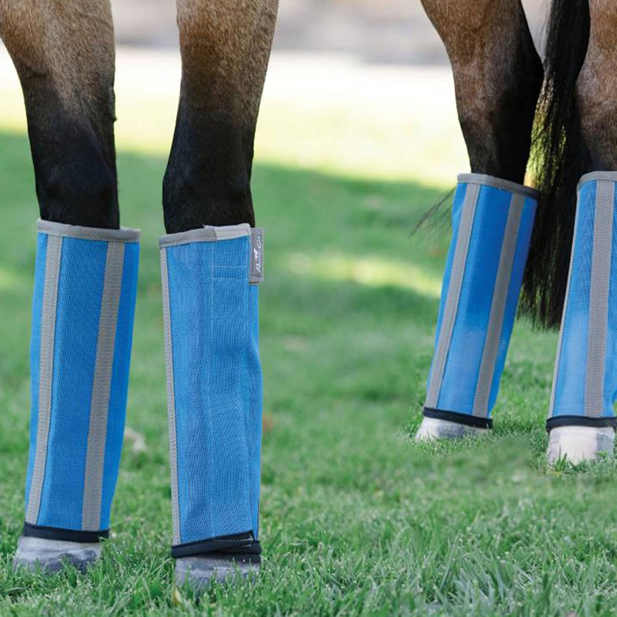 Deluxe Fly Boots - 4 Pack Horse Leg Protection Covers, Pacific Blue, Large | Breathable Mesh, Soft Bottom Liner