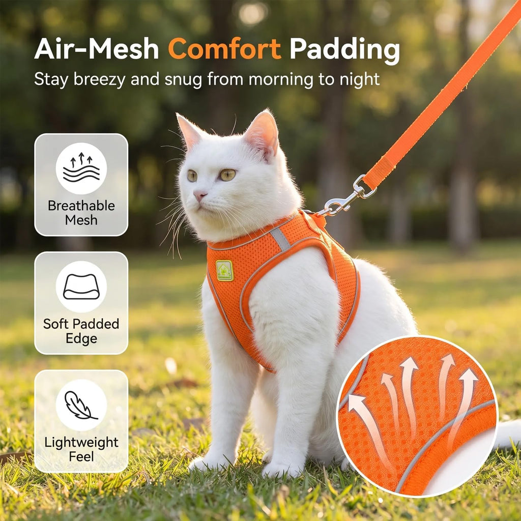 Cat Harness and Leash, Cat Harness and Leash Escape Proof (Blue-M)