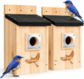 2 Pack Bluebird Houses for Outside with Metal Predator Guard Black