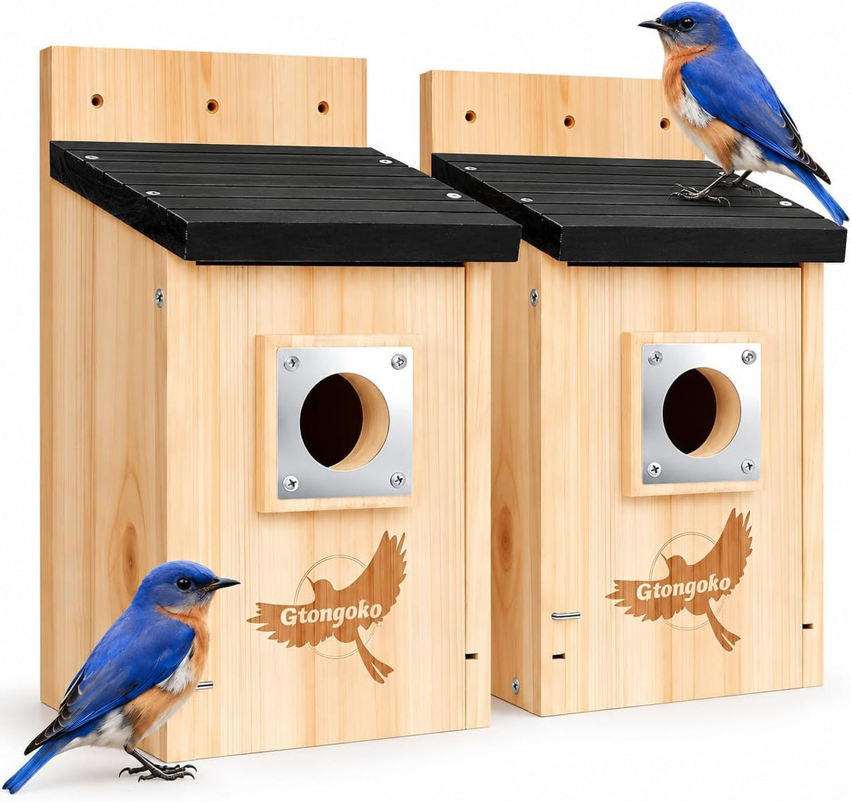 2 Pack Bluebird Houses for Outside with Metal Predator Guard Black