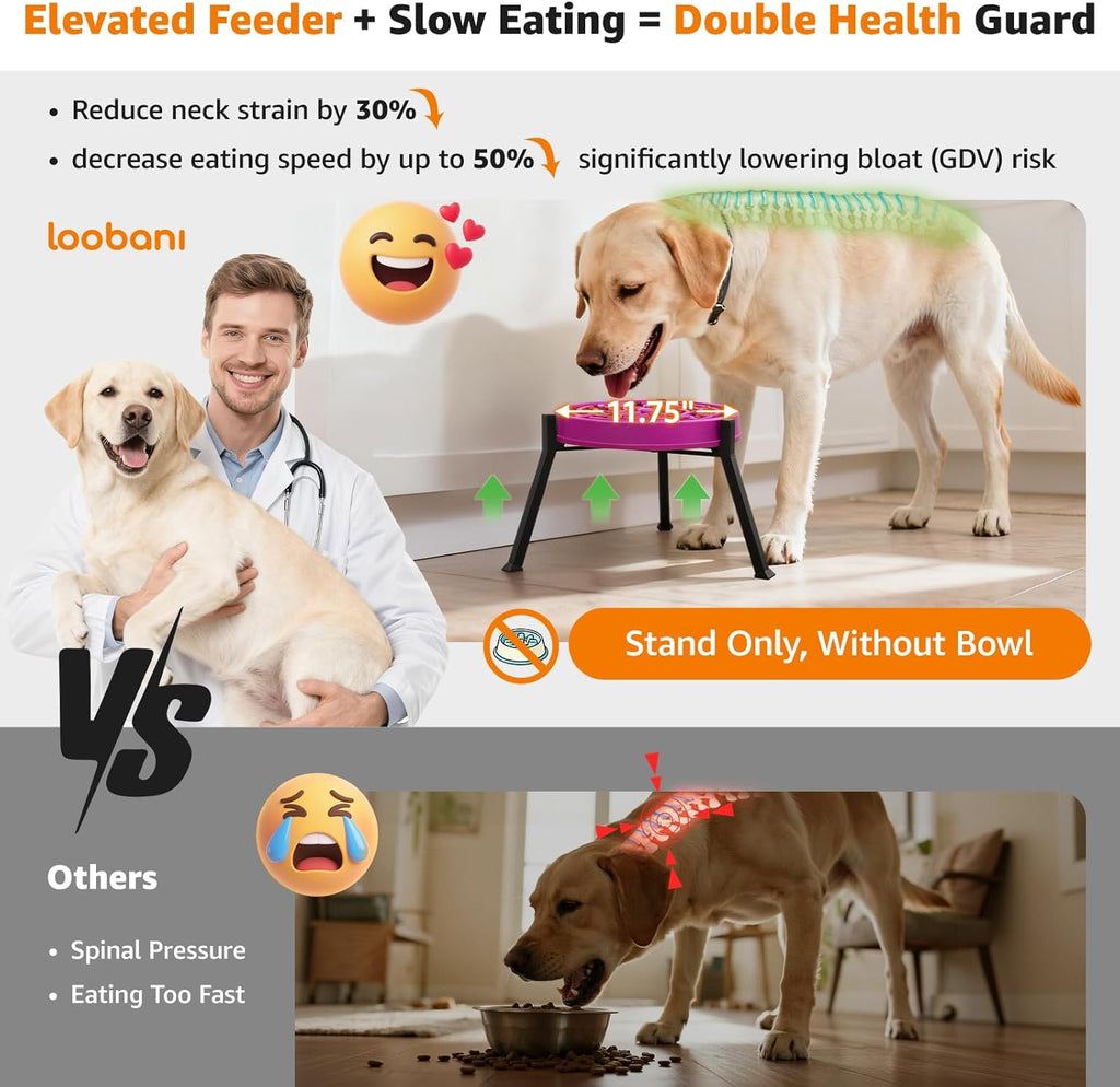 Elevated Dog Bowl Stand: Fits for Bowls Width 8.2"-11" (Without Bowls) Adjustable Width Anti-Slip Raised Dog Bowl