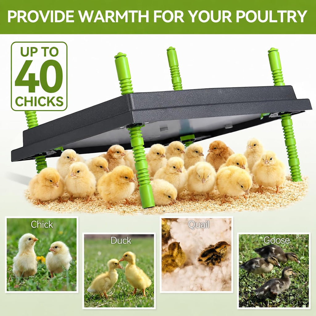 12" x 16" Chick Brooder Heater Plate for 40 Baby Chicks Ducks